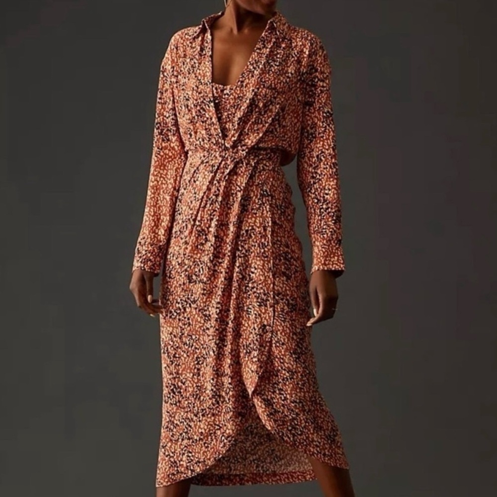 ANTHROPOLOGIE Long Sleeve Abstract Print Maxi Dress - Medium